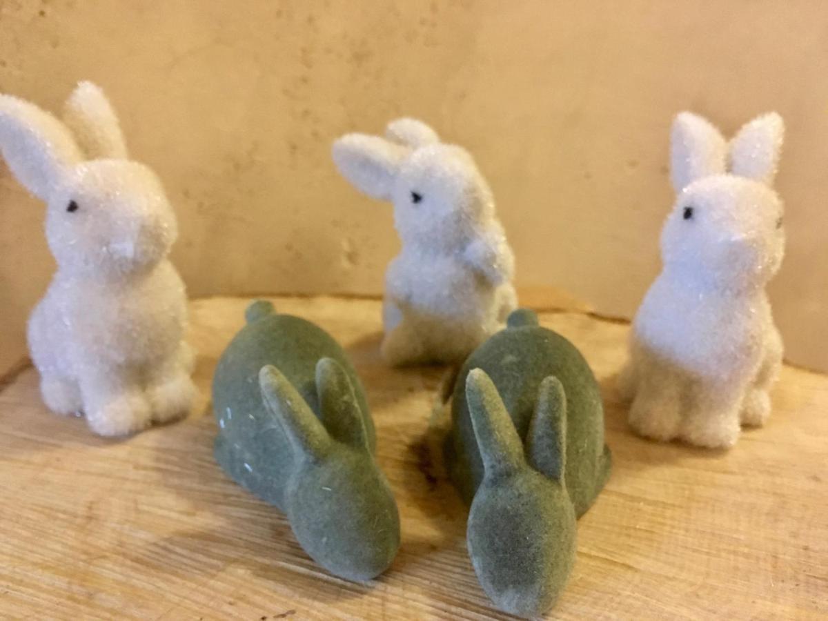 BarLes 5 Petits Lapins住宿加早餐旅馆 外观 照片